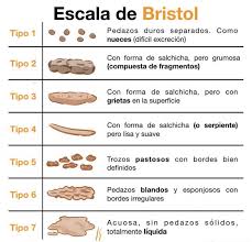 La Escala De Bristol Informacion Al Completo Blog Ultra Levura