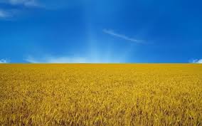 Флаг украины flag of ukraine. Flag Ukrainy Chto Oznachayut Cveta Novye I Starye Nacionalnye I Gosudarstvennye Simvoly Kogda Poyavilsya I Byl Prinyat Kem Priduman Kogda Den Prazdnovaniya