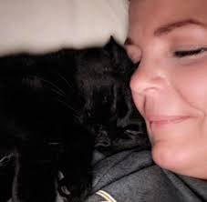 Prayers for Smokey the feral cat with urinary blockage