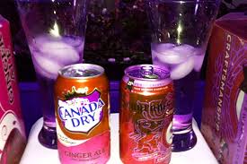 Diy Diet Ginger Ale Diet Ginger Ale Ginger Ale Healthy Filling Snacks