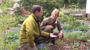 Heute, den 11.02.2007, strahlt die ard um 16.30 uhr ihren ratgeber heim und garten aus. Sendung Vom 12 Mai 2013 Ratgeber Haus Garten Ard Das Erste