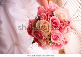 Photo & Image Portfolio by JASON TENCH