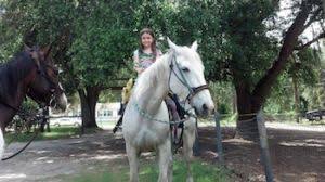 #2 of 36 outdoor activities in ocala. Ocala Horseback Rides Fun 4 Ocala Kids