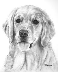 Realistic Cat And Dog Drawing How to draw a cartoon dog all breeds and on different angles.