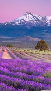 In these page, we also have variety of images available. Free Download Beautiful Natural Lock Screen Hd 1440x2560 Samsung Galaxy S5 Wallpaper 1440x2560 For Your Desktop Mobile Tablet Explore 42 Pretty Lock Screen Wallpaper Pretty Lock Screen Wallpaper Lock