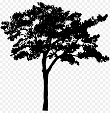 You can copy, modify, distribute and perform the work, even for commercial purposes, all without asking permission. Tree Silhouette Png Free Png Images Toppng