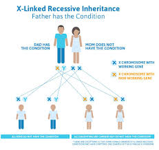 The genetically inherited condition in which there is a marked deficiency of pigmentation in skin, hair, and eyes. X Linked Recessive Inheritance Inheritance Nursing Study Neonatal