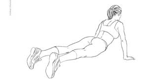 Dive Bomber Push Ups Great Shoulder Chest Tricep Exercise Which Basically Involves Moving From Doward To Upward Dog A Upward Dog Get Fit No Equipment Workout