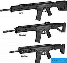 ريمنجتن Acr Bushmaster Acr سلاح 2021