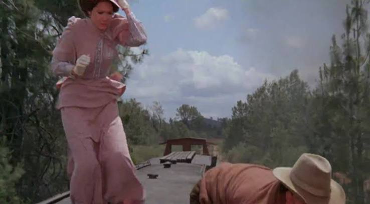 The Apple Dumpling Gang Rides Again (1979) – The Great Disney Movie Ride