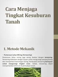 We did not find results for: Cara Menjaga Tingkat Kesuburan Tanah
