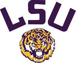 Image result for lsu tigers