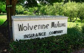 Wolverine insurance agents are able to. Dowagiac S Wolverine Mutual Promotes Five Hires Two New Directors Moody On The Market