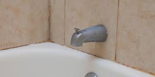 What To Know About Bathroom Mold And