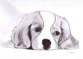 Goupi Dessin Chien Facile Dessin De Chien Dessin Chien