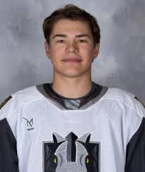 Coachella Valley Firebirds Henderson Silver Knights