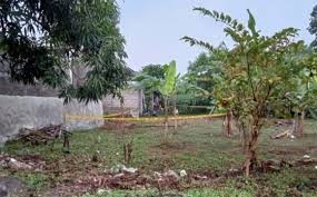 Lowongan kerja tukang kebun di semarang. Bps Lowongan Kerja Timpang Karanganyar Kudu Cetak Wirausahawan