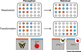 Ia dipandang remeh oleh semua orang, tapi tidak ada satupun yang tahu identitas aslinya yang ternyata adalah tuan muda di cukup itu saja untuk hari ini tentang cara membaca novel the story of ye chen pdf full episode. Transforming The Concept Of Memory Reactivation Trends In Neurosciences