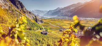 No guarantee for the translation into english. Die Sieger Der Syrah Trophy Schweiz 2020 Falstaff