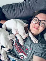 New batch of mama and babies at work to snuggle with