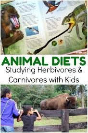 Learning About Animal Diets With Kids Look We Re Learning Homeschool Science Animal Science Science For Kids