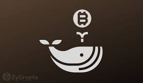 What does elon musk think about bitcoin?? Subtle Hints That Indicate Elon Musk Is Already A Bitcoin Whale Zycrypto