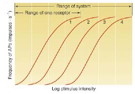 Stimulus Intensity