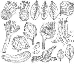 Our coloring categories include serious science: Food Coloring Pages 20 Free Printable Coloring Pages Of Food That Will Make Your Stomach Growl Printables 30seconds Mom