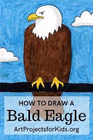Bald eagle coloring coloring pages are a fun way for kids of all ages to develop creativity, focus, motor skills and color recognition. How To Draw A Bald Eagle Art Projects For Kids
