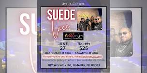 Suede Lace LIVE in Concert!