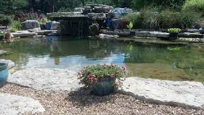 Koi Goldfish Pond Spring Fed Water Feature We Installed In Our Back Yard Water Features Goldfish Pond Backyard