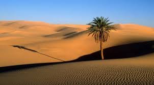 Semenanjung sinai, terletak di sebelah timur terusan suez berbatasan dengan israel, berupa dataran tinggi dan pegunungan. Karakteristik Benua Afrika Luas Letak Iklim Penduduk