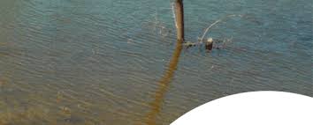 Aakar Charitable Trust Charitable trust is a trust which created to serve the poor/needy.