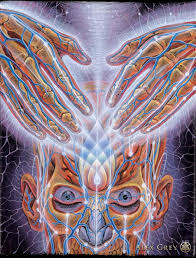 We did not find results for: Light Weaver Alex Grey Paintings Alex Gray Art Alex Grey