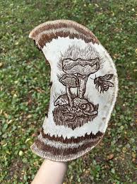 Image result for Ganoderma applanatum