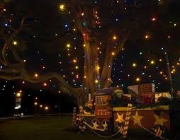 Where To Enjoy Holiday Lights In San Francisco Trekaroo Holiday Lights Christmas Light Displays Enjoyment