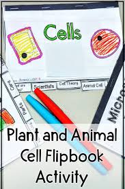 In this page, we will explore the aspects and parts of cell theory, its rivaled history, and many versions, as well as the exceptions to this theory. Plant And Animal Cell Activity Plant And Animal Cells Flip Book Animal Cell