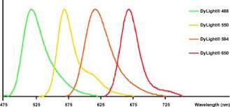 Get over 50 fonts, text formatting, optional watermarks and no adverts! Dylight 488 Donkey Anti Mouse Igg Secondary Antibody Ab96875 Abcam