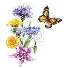 Daria è una cuoca eccellente, e voglio dire ad andrea che non dimenticherò mai, il mazzo di fiori di campo. Vintage Carta Acquarello Estate Fiori Di Campo Bouquet Erbe Carta Da Parati Carte Da Parati Corsage Wildflower Fioraio Myloview It