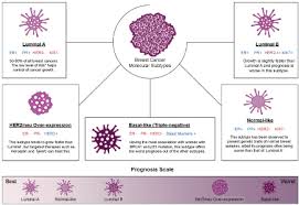 Beware of dimpled skin look for visible changes, like dimpled, puckered all are potential breast cancer symptoms that should be evaluated. Organoids As Reliable Breast Cancer Study Models An Update