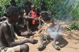 Image result for Zanha africana