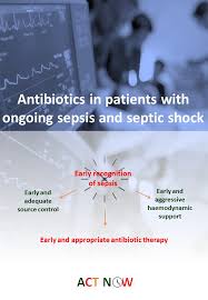 This initial stage is followed by suppression of the immune system. Antibiotics In Patients With Ongoing Sepsis And Septic Shock Global Alliance For Infections In Surgery