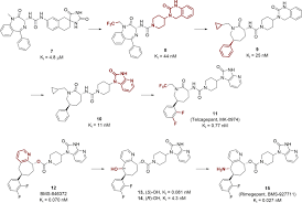 Home/anunturi, guvernanta corporatista, rapoarte ca/hotararea consiliului de administratie nr. G Protein Coupled Receptors Structure And Function Based Drug Discovery Signal Transduction And Targeted Therapy