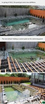 His Idea For A Backyard Seems Crazy At First But After Seeing The Result Absolutely Genius Swimming Pool Construction Ponds Backyard Backyard Pool