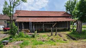 In the valle isarco valley in the heart of south tyrol there's the sunny holiday village of barbiano with our ***s hotel haus an der luck, located in a quiet position on the edge of the village. Die Lucky Horse Ranch Aus Stephanskirchen Hat Endlich Eine Neue Heimat Gefunden Landkreis Meldungen