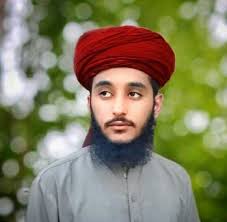 Hafiz Muhammad Furqan Ali