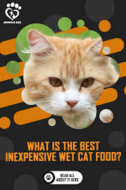 Pin On Cat Food