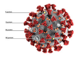 30,700 likes · 89 talking about this. Researchers Cast Wide Net For Rapid Draw Weapons In 2019 Ncov Fight 2020 02 04 Bioworld