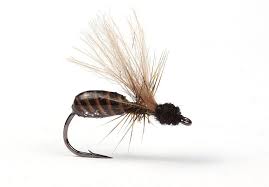 Quill Flying Ant Peche Mouche Montage Mouche Mouches