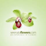 Latest june flowers coupon codes & promo codes may 2021. Serenataflowers Com Coupon Codes 2021 50 Discount May Promo Codes For Serenata Flowers